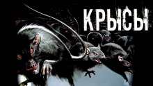 слушать аудиокнигу Крысы Аудиокнига Крысы