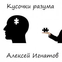 Аудиокнига Кусочки разума