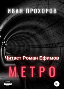 Слушать онлайн аудиокниги Метро Аудиокнига Метро