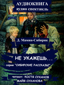 Слушать онлайн аудиокниги Не укажешь… Аудиокнига Не укажешь…