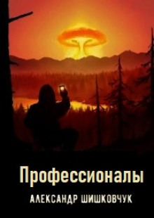 Слушать онлайн аудиокниги Профессионалы Аудиокнига Профессионалы