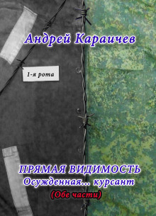 Слушать онлайн аудиокниги Прямая видимость Аудиокнига Прямая видимость