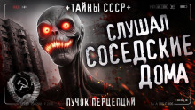 Аудиокнига Он слушал соседские дома