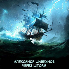 Слушать онлайн аудиокниги Через шторм Аудиокнига Через шторм