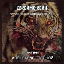 Слушать онлайн аудиокниги Младенец в холодильнике Аудиокнига Младенец в холодильнике