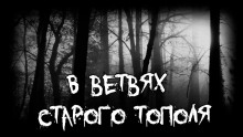 слушать аудиокнигу В ветвях старого тополя Аудиокнига В ветвях старого тополя