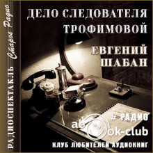 слушать аудиокнигу Дело следователя Трофимовой Аудиокнига Дело следователя Трофимовой