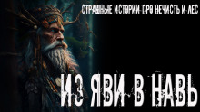 Слушать онлайн аудиокниги Из Яви в Навь Аудиокнига Из Яви в Навь