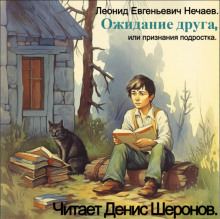 слушать аудиокнигу Ожидание друга, или Признания подростка Аудиокнига Ожидание друга, или Признания подростка