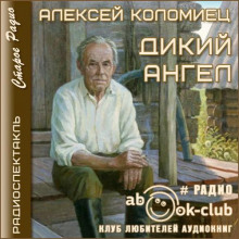 Слушать онлайн аудиокниги Дикий Ангел Аудиокнига Дикий Ангел