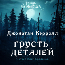 Слушать онлайн аудиокниги Грусть деталей Аудиокнига Грусть деталей