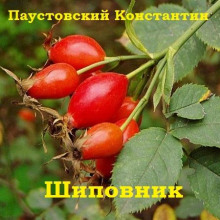 Аудиокнига Шиповник