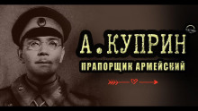 Аудиокнига Прапорщик армейский