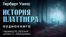 Слушать онлайн аудиокниги История Платтнера Аудиокнига История Платтнера