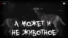 Слушать онлайн аудиокниги А может и не животное Аудиокнига А может и не животное