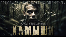 Слушать онлайн аудиокниги Камыши Аудиокнига Камыши