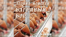 Слушать онлайн аудиокниги Багряный бор Аудиокнига Багряный бор