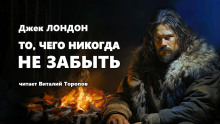 Слушать онлайн аудиокниги То, чего никогда не забыть Аудиокнига То, чего никогда не забыть