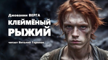 Аудиокнига Клейменый рыжий