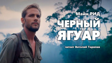 Слушать онлайн аудиокниги Черный ягуар Аудиокнига Черный ягуар