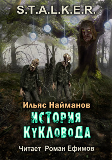 Слушать онлайн аудиокниги S.T.A.L.K.E.R. История Кукловода Аудиокнига S.T.A.L.K.E.R. История Кукловода