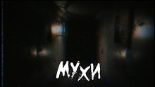 Слушать онлайн аудиокниги Мухи Аудиокнига Мухи
