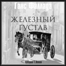 слушать аудиокнигу Железный Густав Аудиокнига Железный Густав