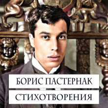 Аудиокнига Стихотворения
