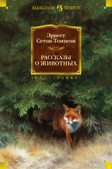слушать аудиокнигу Буйный и Колючая Холка Аудиокнига Буйный и Колючая Холка