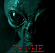 слушать аудиокнигу Серые Аудиокнига Серые