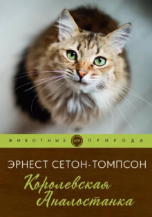 Слушать онлайн аудиокниги Королевская Аналостанка Аудиокнига Королевская Аналостанка