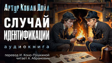Аудиокнига Случай идентификации