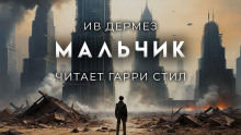 слушать аудиокнигу Мальчик Аудиокнига Мальчик