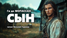 Слушать онлайн аудиокниги Сын Аудиокнига Сын