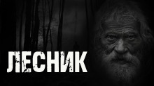 Слушать онлайн аудиокниги Лесник Аудиокнига Лесник