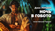 Слушать онлайн аудиокниги Ночь в Гобото Аудиокнига Ночь в Гобото