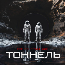 слушать аудиокнигу Тоннель Аудиокнига Тоннель