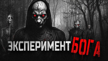 Слушать онлайн аудиокниги Божественный эксперимент Аудиокнига Божественный эксперимент