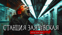 Слушать онлайн аудиокниги Станция Заячевская Аудиокнига Станция Заячевская