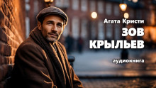 Аудиокнига Зов крыльев