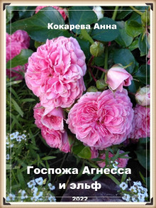 Слушать онлайн аудиокниги Госпожа Агнесса и эльф Аудиокнига Госпожа Агнесса и эльф