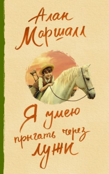 Слушать онлайн аудиокниги Как я сталкивался с приятелем Аудиокнига Как я сталкивался с приятелем