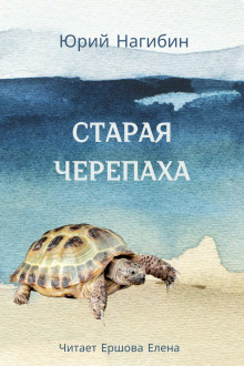 слушать аудиокнигу Старая черепаха Аудиокнига Старая черепаха