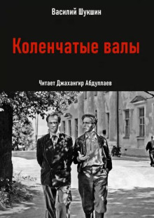 Слушать онлайн аудиокниги Коленчатые валы Аудиокнига Коленчатые валы