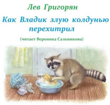 Слушать онлайн аудиокниги Как Владик злую колдунью перехитрил Аудиокнига Как Владик злую колдунью перехитрил