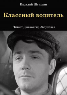 Аудиокнига Классный водитель