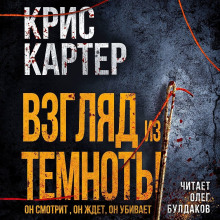 Слушать онлайн аудиокниги Взгляд из темноты Аудиокнига Взгляд из темноты