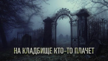 Слушать онлайн аудиокниги На кладбище кто-то плачет Аудиокнига На кладбище кто-то плачет