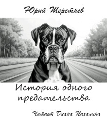 Аудиокнига История одного предательства