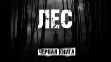 Слушать онлайн аудиокниги Лес Аудиокнига Лес